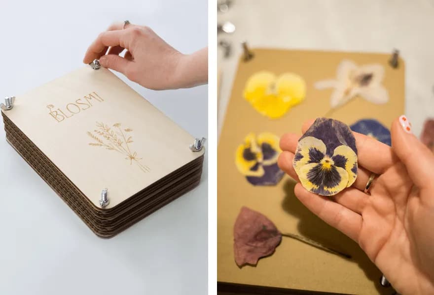 Jak suszyć kwiaty w książce - proste kroki, które zaskoczą każdego